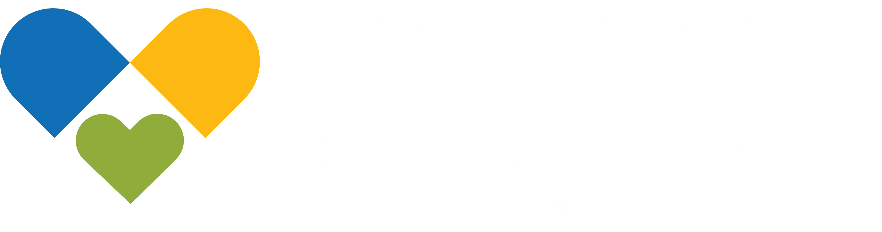 opioids pain and spine health logo